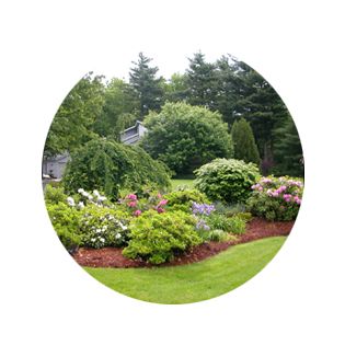Landscaping Landscaping